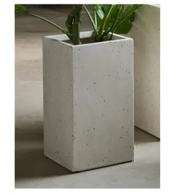 Imeri Donica DACETTERO 31 cm
