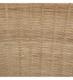 Zona-Design Fotel KERRI ratan piaskowy brąz