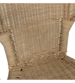 Zona-Design Fotel KERRI ratan piaskowy brąz