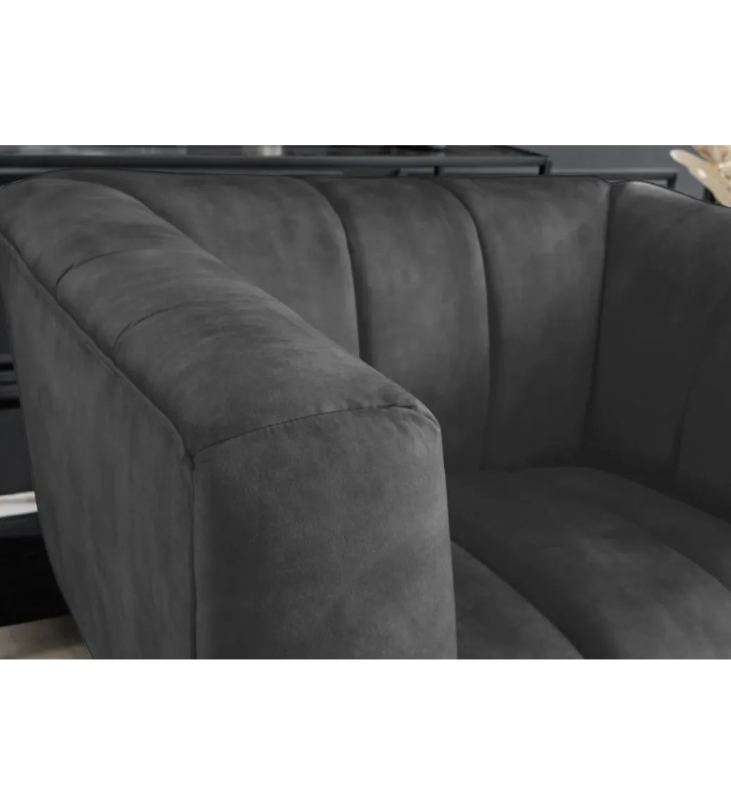 Invicta Interior Fotel NOBLESSE aksamit szary