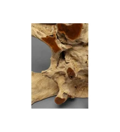 KARE Konsola ROOTS 150 cm drewno teak naturalna