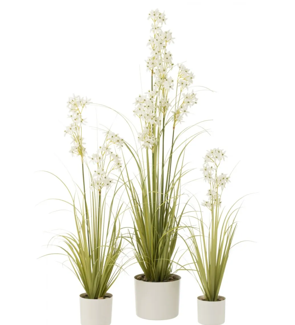 J-Line Kwiat sztuczny ALLIUM 161 cm