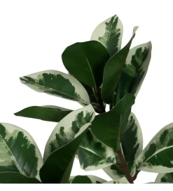 Zona-Design Kwiat sztuczny DEBRAR 150 cm