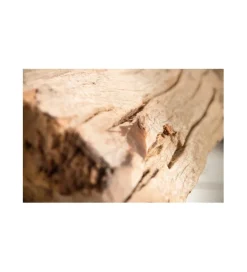 Invicta Interior Lampa Podłogowa Driftwood Black