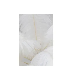 KDesign Lampa podłogowa FEATHER PALM 165 Cm Pióra biała