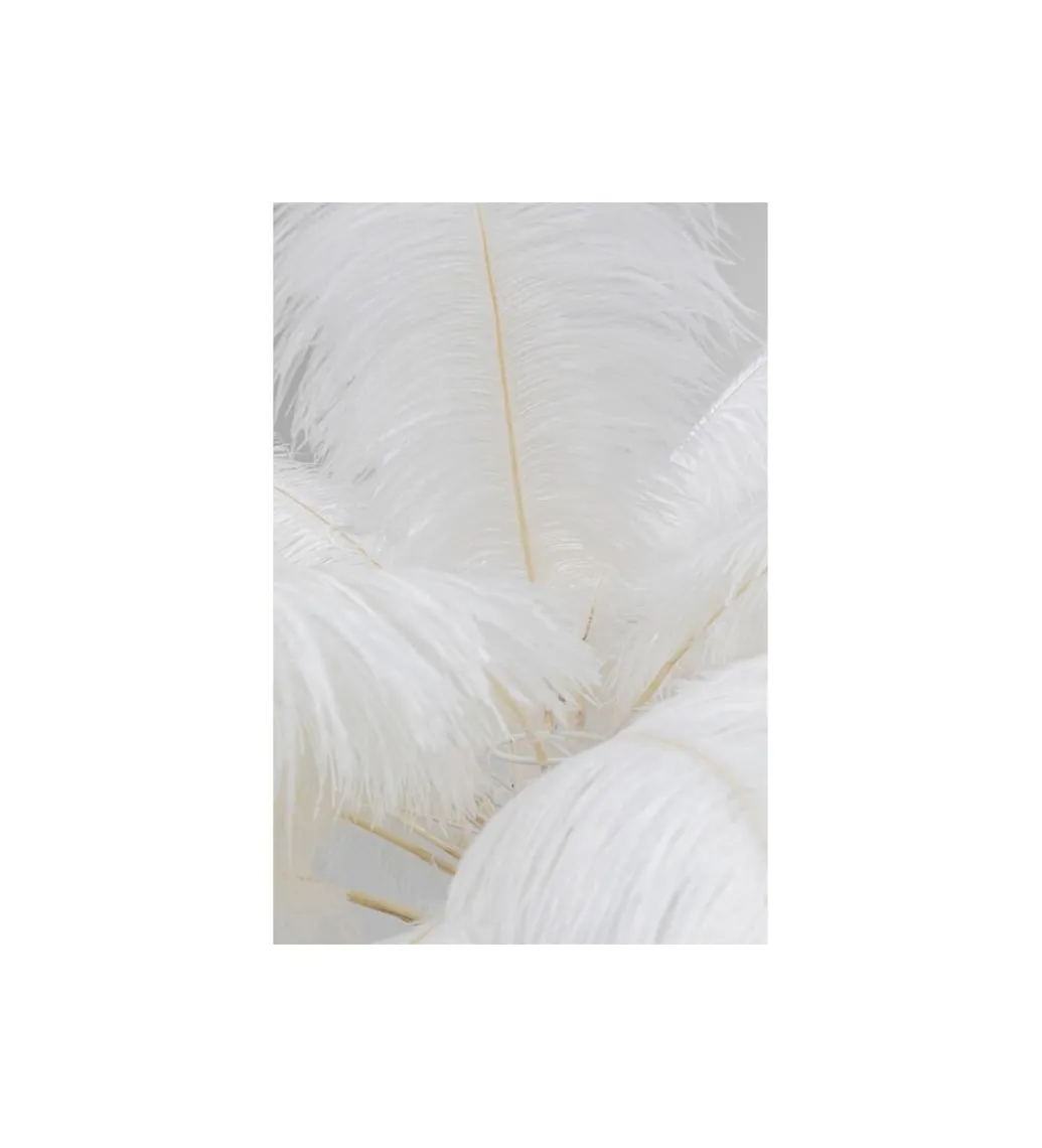 KDesign Lampa podłogowa FEATHER PALM 165 Cm Pióra biała