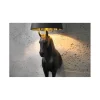 Invicta Interior Lampa podłogowa Koń Horse Black Beauty czarna