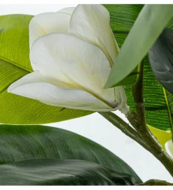 Exclusivas Magnolia sztuczna 100 cm