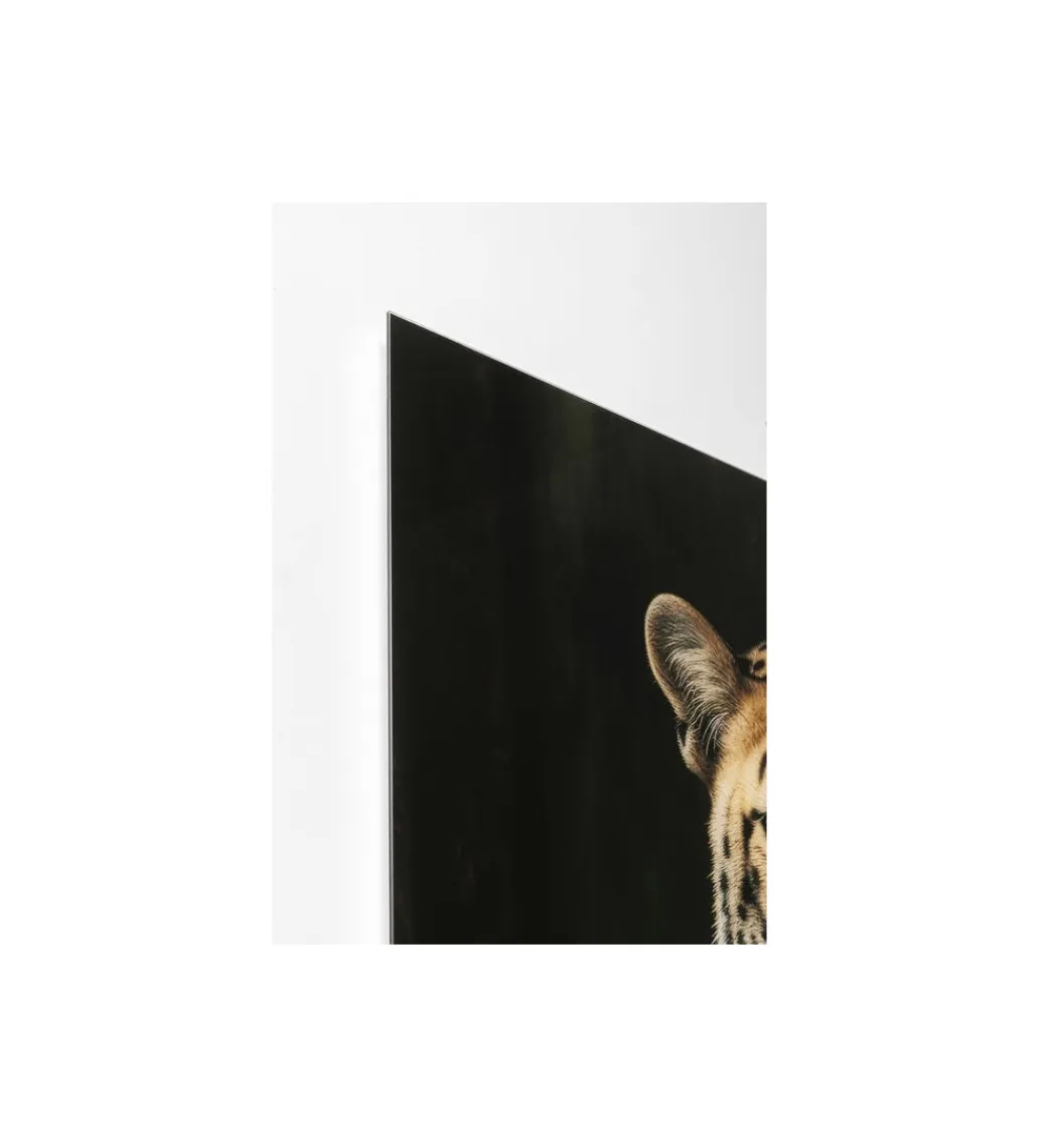 KDesign Obraz MISTER LEO 40 x 30cm