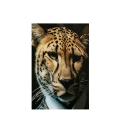 KDesign Obraz MISTER LEO 40 x 30cm
