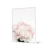 Zona-Design Obraz Piwonie 102 cm x 142 cm