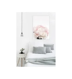 Zona-Design Obraz Piwonie 102 cm x 142 cm