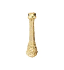 KDesign Ozdoba ścienna OSTRICH 18 x 71 cm złota