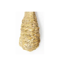 KDesign Ozdoba ścienna OSTRICH 18 x 71 cm złota