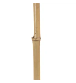 Zona-Design Ozdoba NATURALUI 230 cm czerwony
