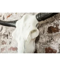 Invicta Interior Ozdobna czaszka El Toro 70 cm biały czarny
