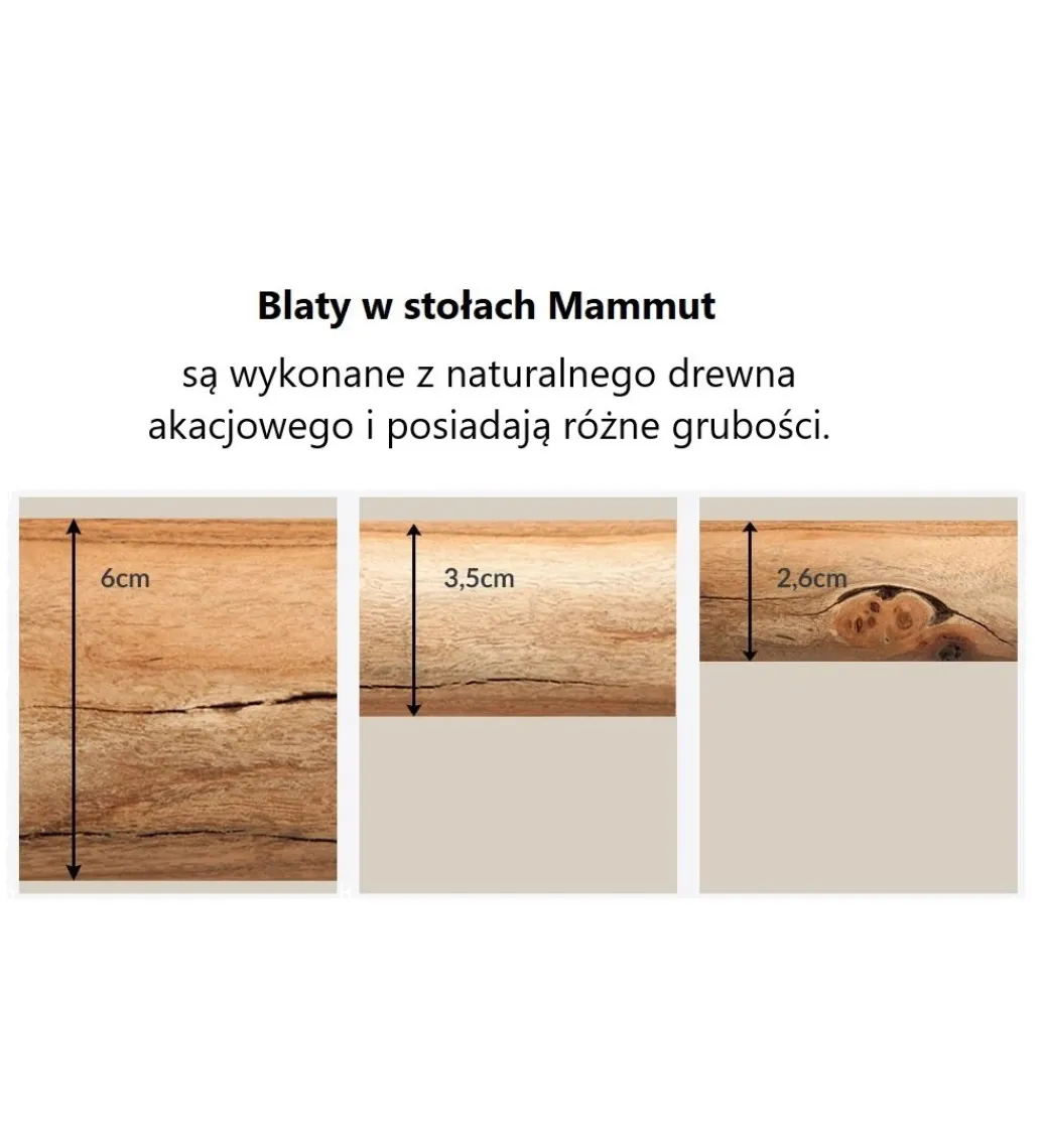 Invicta Interior Stół ARKTYKA Mammut X 240 cm drewno Akacja honey