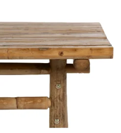 Zona-Design Stolik kawowy BAMBÚ 100 cm bambus