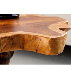 Invicta Interior - przedsprzedaż Stolik kawowy ROOT 40 cm drewno teak naturalny