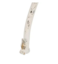 Zona-Design Stolik kawowy ZEGARTA 75 cm kremowy