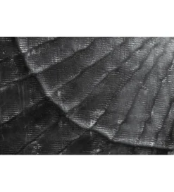 Invicta Interior Szafka nocna ZEUS Scorpion 50 cm drewno mango