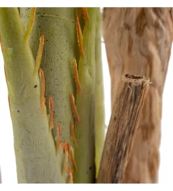 Zona-Design Sztuczna roślina ARECA 189 cm