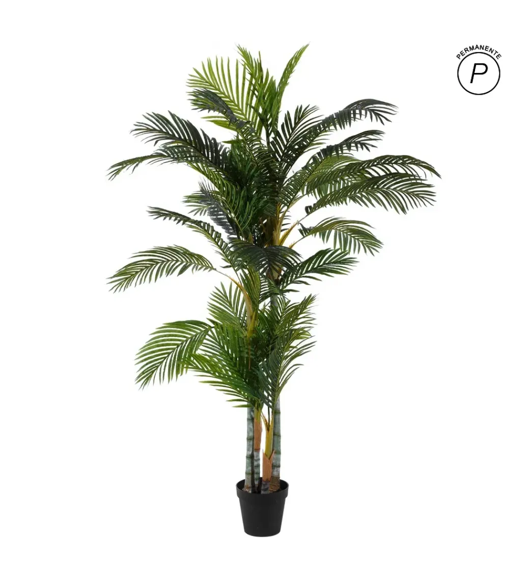 Zona-Design Sztuczna roślina ARECA 210 cm