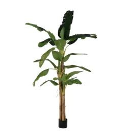 Zona-Design Sztuczna roślina BANANOWIEC 280 cm