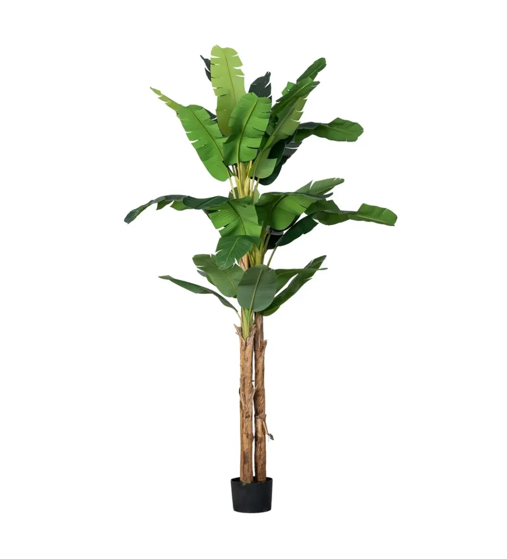 Zona-Design Sztuczna roślina BANANOWIEC 320 cm