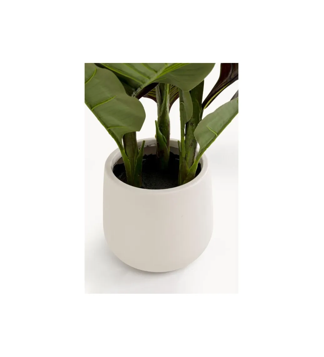 KDesign Sztuczna roślina CANNA LILY 165 cm