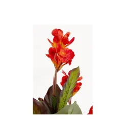 KDesign Sztuczna roślina CANNA LILY 165 cm