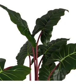 Zona-Design Sztuczna roślina COLOCASIA 160 cm