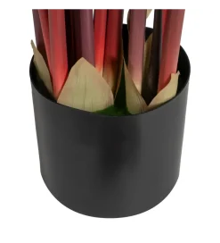 Zona-Design Sztuczna roślina COLOCASIA 180 cm