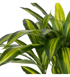 Zona-Design Sztuczna roślina DRACAENA 110 cm