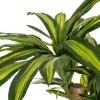 Zona-Design Sztuczna roślina DRACAENA 140 cm