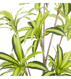 Zona-Design Sztuczna roślina DRACENA 210 cm