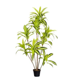Zona-Design Sztuczna roślina DRACENA 180 cm