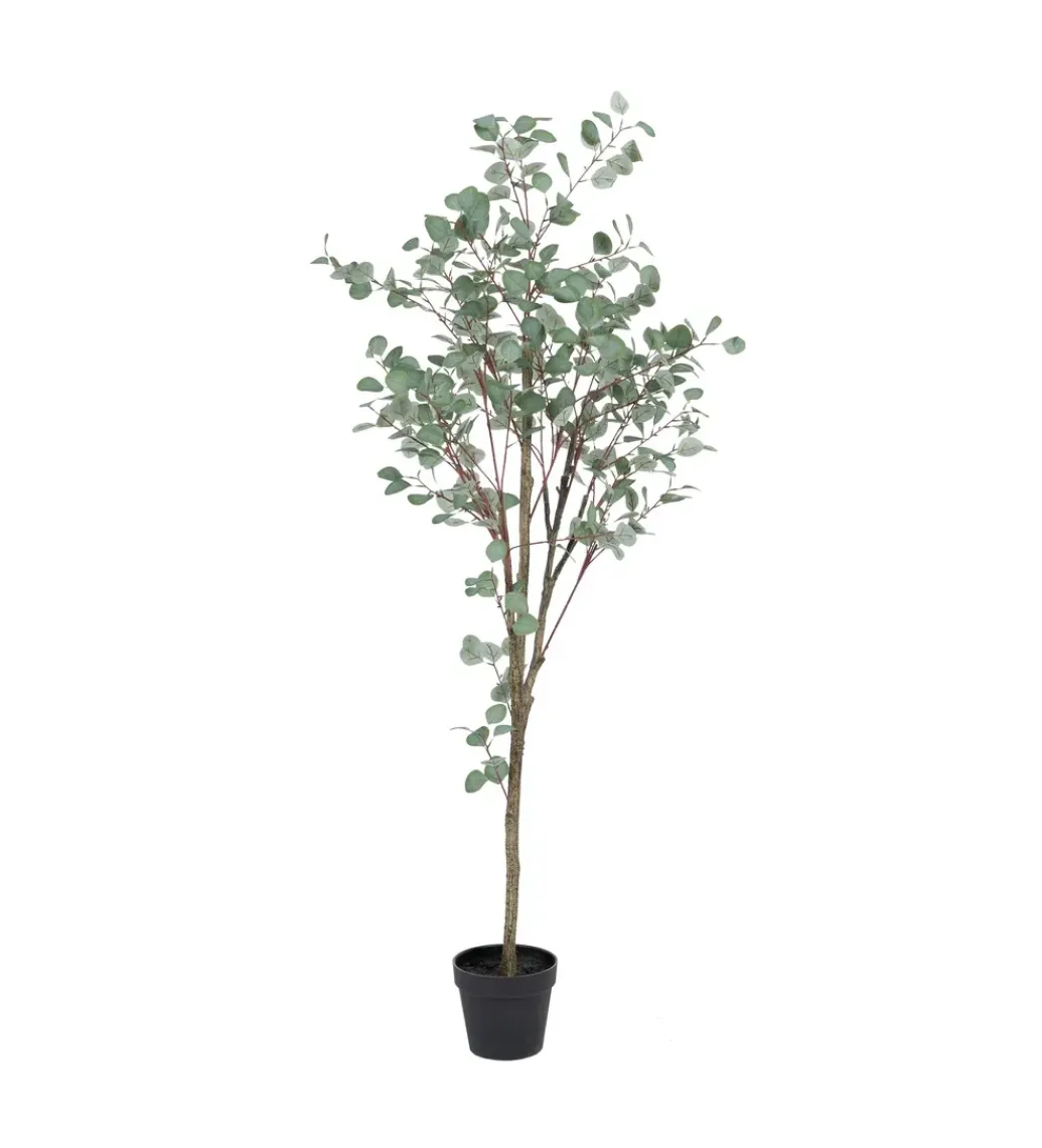 Zona-Design Sztuczna roślina EUKALIPTUS 180 cm
