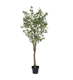 Zona-Design Sztuczna roślina EUKALIPTUS 173 cm