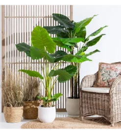 Zona-Design Sztuczna roślina FILODENDRO 155 cm