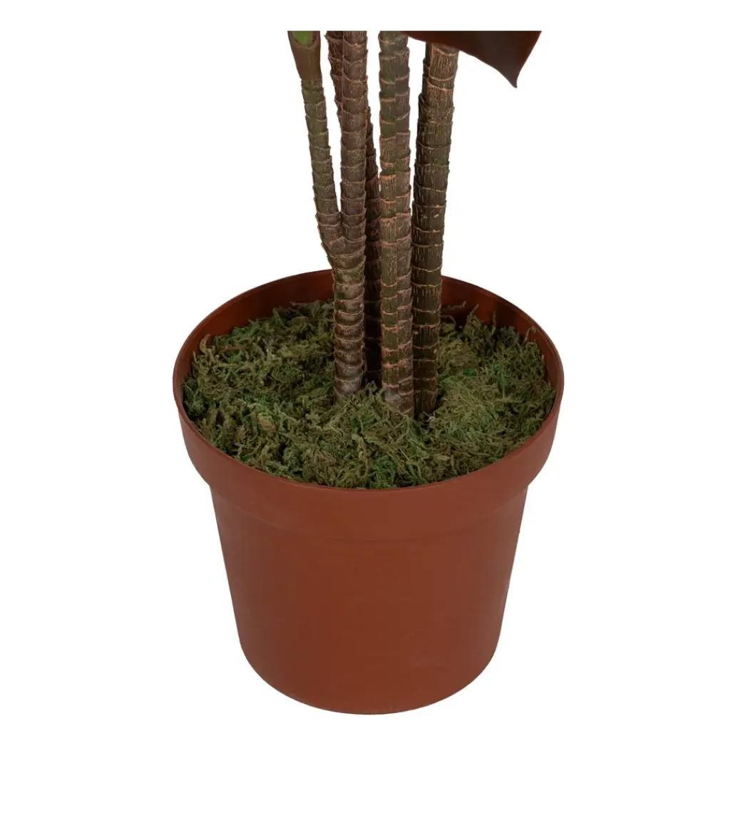Zona-Design Sztuczna roślina JARDIN 170 cm