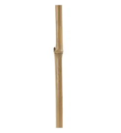 Zona-Design Sztuczna roślina KOSNO 190 cm naturalna