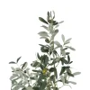 Zona-Design Sztuczna roślina OLIWKA 112 cm