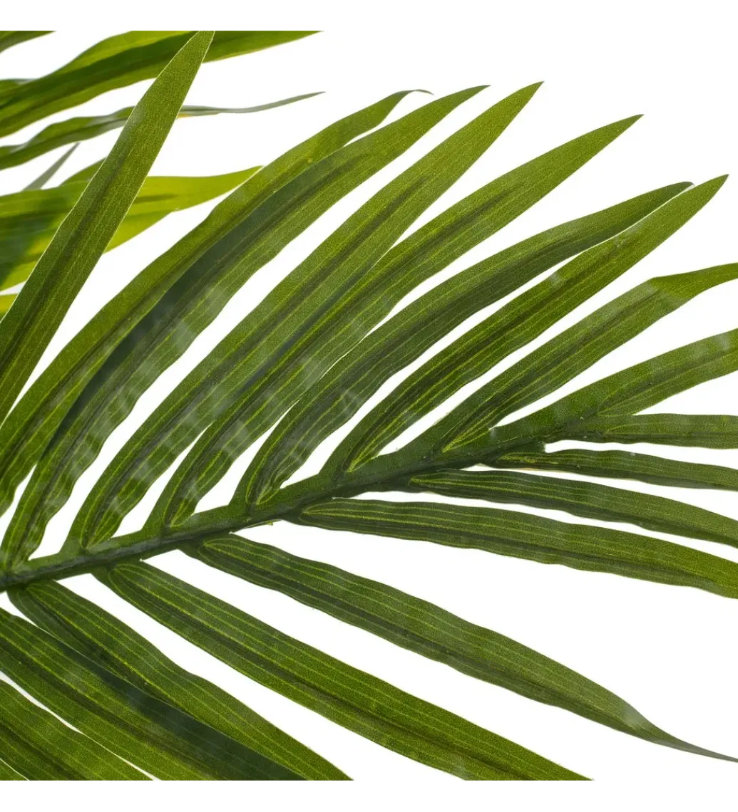 Zona-Design Sztuczna roślina PALMERA 170 cm