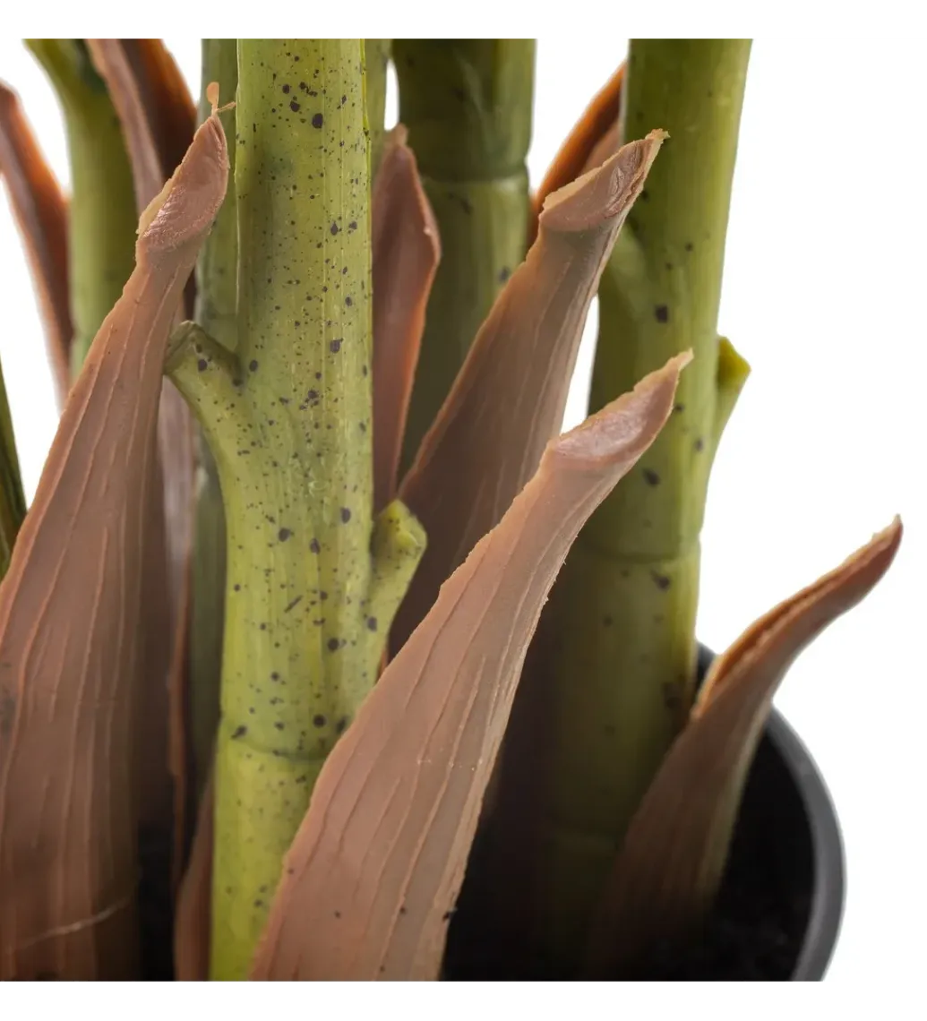 Zona-Design Sztuczna roślina PALMERA 170 cm