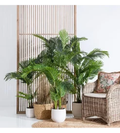 Zona-Design Sztuczna roślina PALMERA 170 cm
