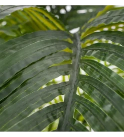 Zona-Design Sztuczna roślina PALMERA 170 cm
