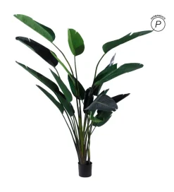 Zona-Design Sztuczna roślina PARAISO 245 cm