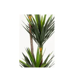 KDesign Sztuczna roślina YUKKA 250 cm