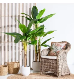 Zona-Design Sztuczny kwiat BANANA 190 CM  zielony